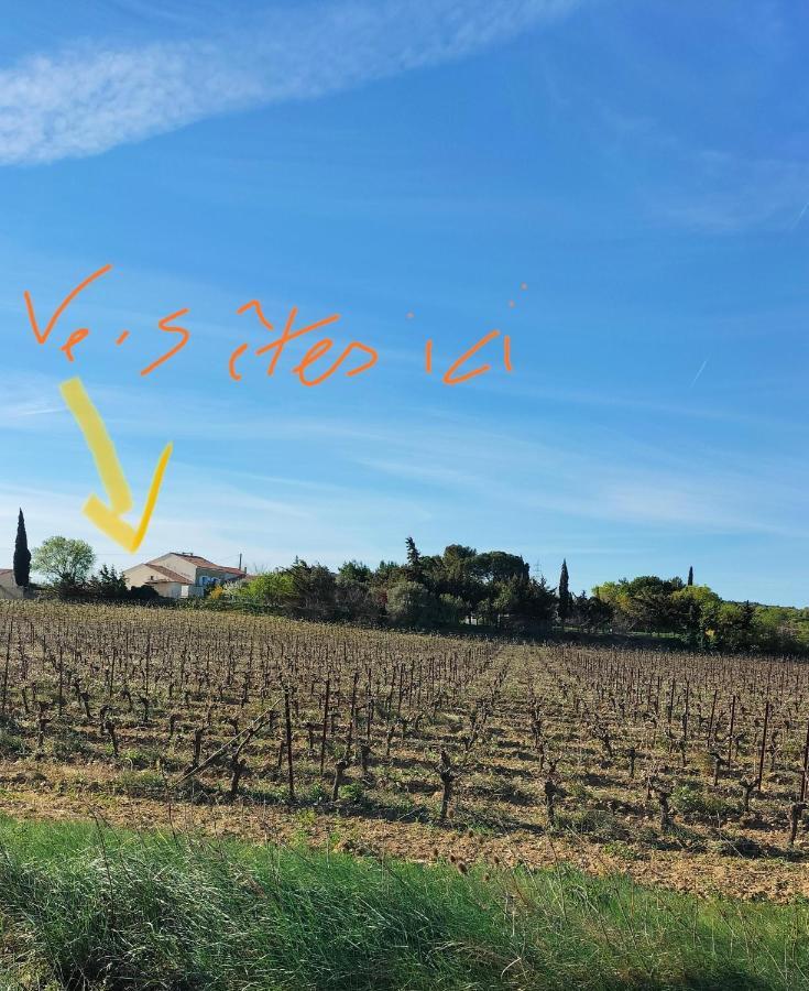 Hébergement de vacances A ,domaine De La Barque A 5 Mins De Narbonne