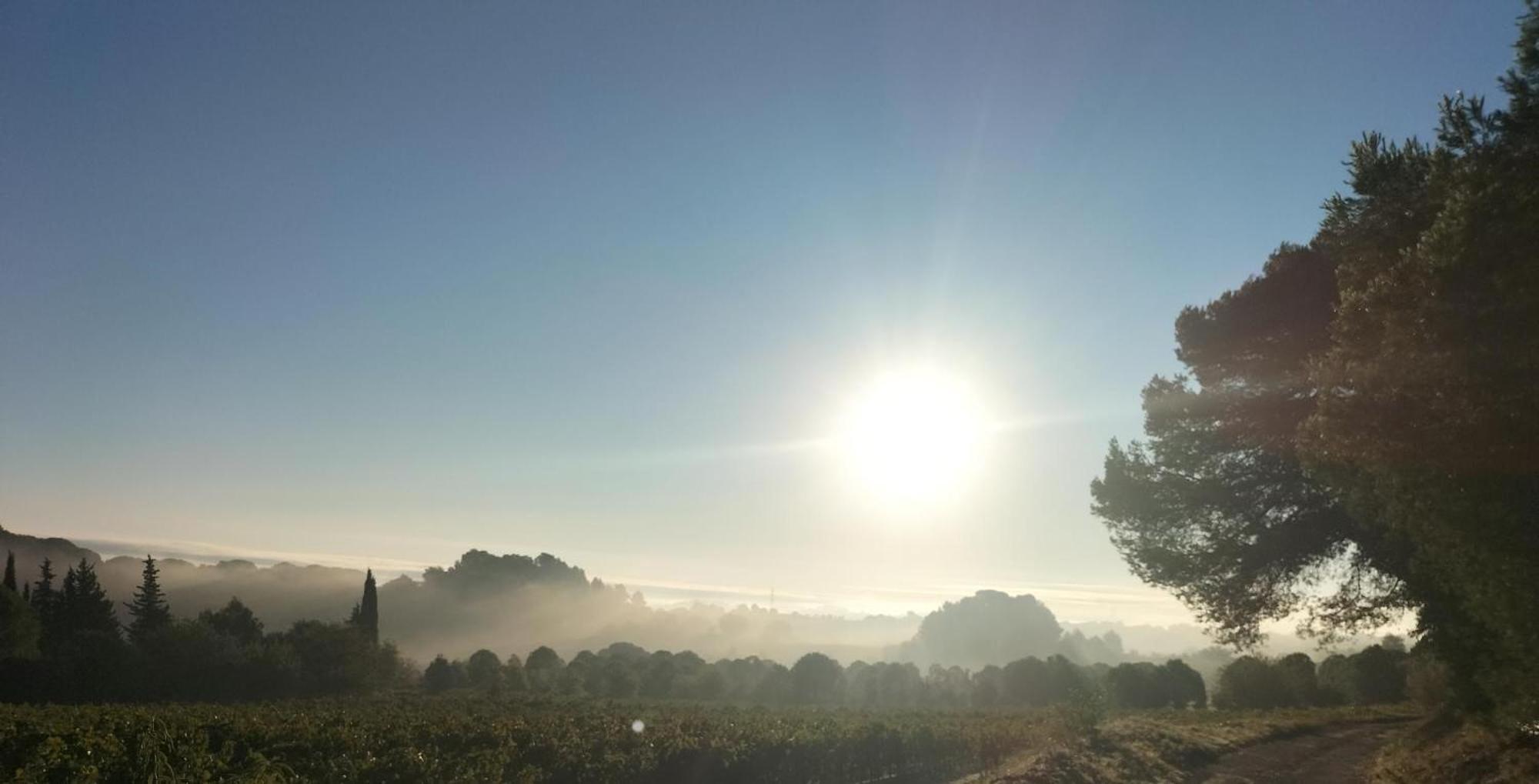 A ,domaine De La Barque A 5 Mins De Narbonne Hébergement de vacances *